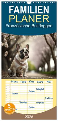 Vorderes Coverbild Familienplaner 2026 - Französische Bulldoggen mit 5 Spalten (Wandkalender, 21 x 45 cm) CALVENDO