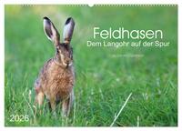 Vorderes Coverbild Feldhasen - dem Langohr auf der Spur (Wandkalender 2026 DIN A2 quer), CALVENDO Monatskalender