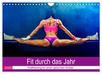 Vorderes Coverbild Fit durch das Jahr. Training für einen gesunden Körper (Wandkalender 2026 DIN A4 quer), CALVENDO Monatskalender