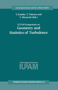 Vorderes Coverbild IUTAM Symposium on Geometry and Statistics of Turbulence