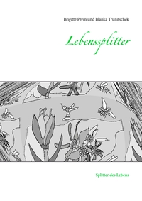 Vorderes Coverbild Lebenssplitter
