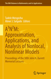 Vorderes Coverbild A³N²M: Approximation, Applications, and Analysis of Nonlocal, Nonlinear Models