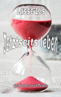 Vorderes Coverbild Jetztseits leben