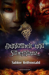 Vorderes Coverbild Dunkelheit und Silberglanz