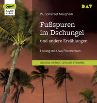 Vorderes Coverbild Fußspuren im Dschungel und andere Erzählungen
