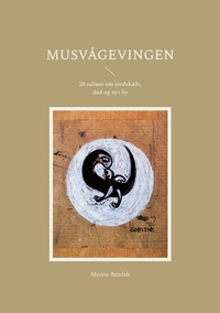 Vorderes Coverbild Musvågevingen
