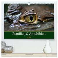 Vorderes Coverbild Reptilien & Amphibien Portraits (hochwertiger Premium Wandkalender 2025 DIN A2 quer), Kunstdruck in Hochglanz