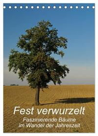 Vorderes Coverbild Fest verwurzelt - Faszinierende Bäume im Wandel der Jahreszeit (Tischkalender 2025 DIN A5 hoch), CALVENDO Monatskalender