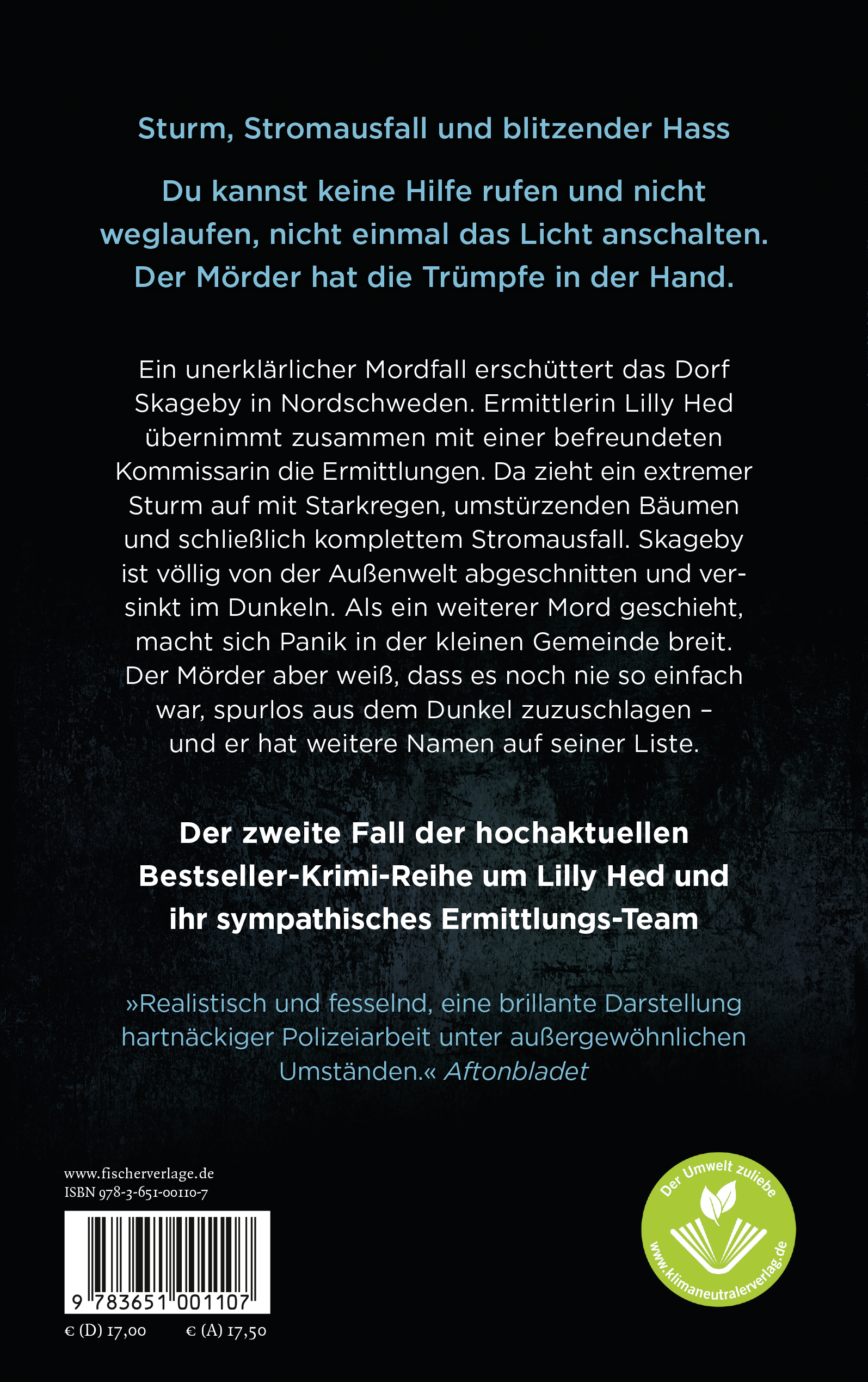 Rückseitencover Im Sturm