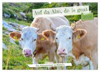 Vorderes Coverbild Bergstille – Momente auf der Alm (Wandkalender 2026 DIN A2 quer), CALVENDO Monatskalender