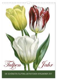 Vorderes Coverbild Tulpen - Jahr (Wandkalender 2026 DIN A3 hoch), CALVENDO Monatskalender