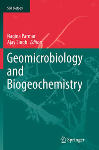 Vorderes Coverbild Geomicrobiology and Biogeochemistry