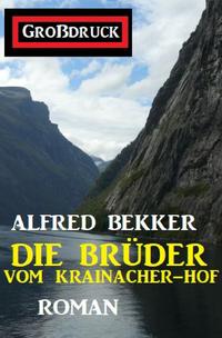 Vorderes Coverbild Die Brüder vom Krainacher Hof: Roman. Großdruck Taschenbuch