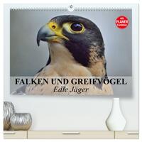 Vorderes Coverbild Falken und Greifvögel - Edle Jäger (hochwertiger Premium Wandkalender 2025 DIN A2 quer), Kunstdruck in Hochglanz