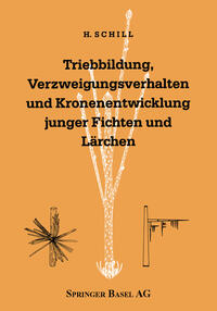 Vorderes Coverbild Triebbildung, Verzweigungsverhalten und Kronenentwicklung junger Fichten und Lärchen