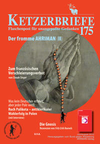 Vorderes Coverbild Der fromme Ahriman (II)