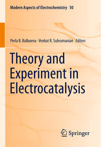 Vorderes Coverbild Theory and Experiment in Electrocatalysis
