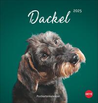 Vorderes Coverbild Dackel Postkartenkalender 2025