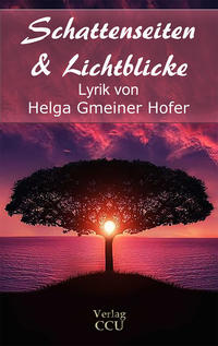 Vorderes Coverbild Schattenseiten & Lichtblicke