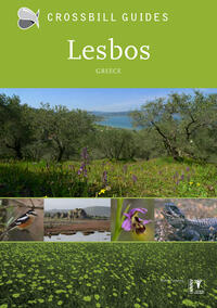 Vorderes Coverbild Lesbos