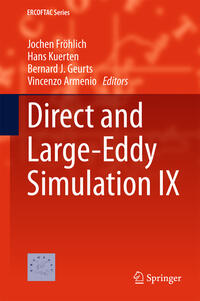 Vorderes Coverbild Direct and Large-Eddy Simulation IX