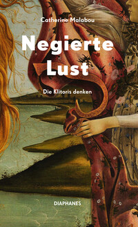 Vorderes Coverbild Negierte Lust