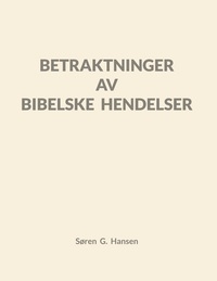 Vorderes Coverbild Betraktninger av bibelske hendelser