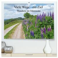 Vorderes Coverbild Viele Wege - ein Ziel Wandern im Odenwald (hochwertiger Premium Wandkalender 2026 DIN A2 quer), Kunstdruck in Hochglanz