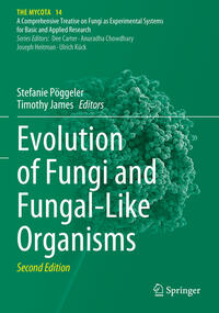 Vorderes Coverbild Evolution of Fungi and Fungal-Like Organisms