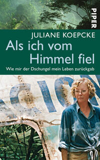 Vorderes Coverbild Als ich vom Himmel fiel