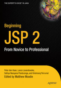 Vorderes Coverbild Beginning JSP 2
