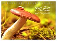 Vorderes Coverbild Pilze und Pilzgerichte (Tischkalender 2025 DIN A5 quer), CALVENDO Monatskalender