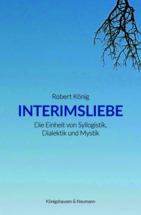 Vorderes Coverbild Interimsliebe