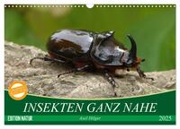Vorderes Coverbild INSEKTEN GANZ NAHE (Wandkalender 2025 DIN A3 quer), CALVENDO Monatskalender
