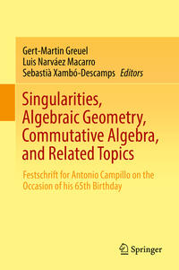 Vorderes Coverbild Singularities, Algebraic Geometry, Commutative Algebra, and Related Topics