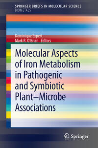 Vorderes Coverbild Molecular Aspects of Iron Metabolism in Pathogenic and Symbiotic Plant-Microbe Associations