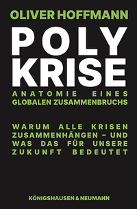 Vorderes Coverbild Polykrise