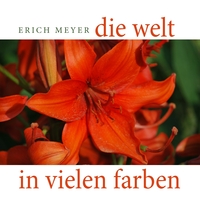 Vorderes Coverbild Die Welt in vielen Farben