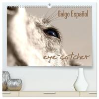Vorderes Coverbild Galgo eye-catcher (hochwertiger Premium Wandkalender 2025 DIN A2 quer), Kunstdruck in Hochglanz