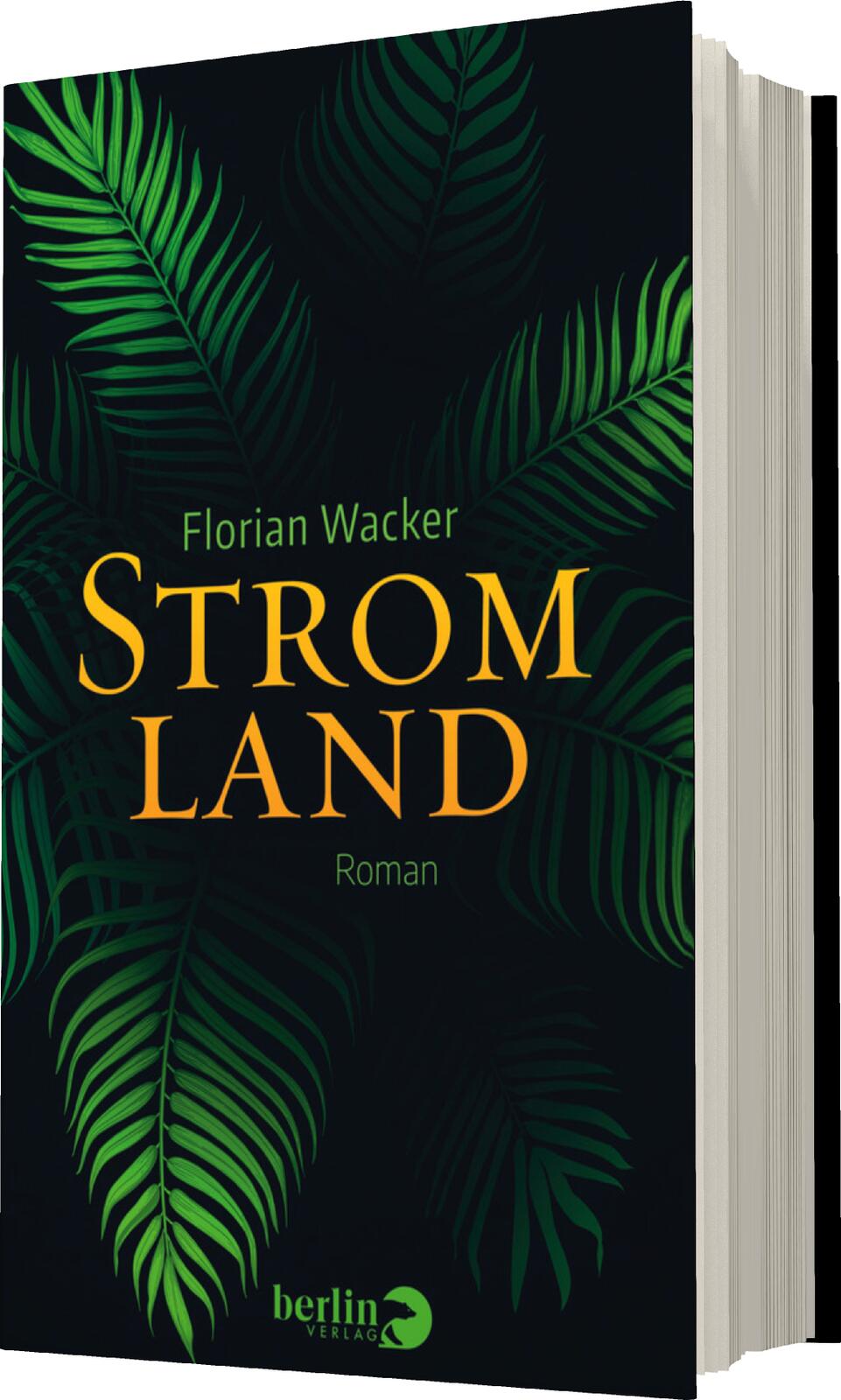 Anderes Coverbild Stromland