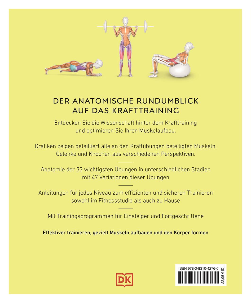 Rückseitencover Krafttraining – Die Anatomie verstehen