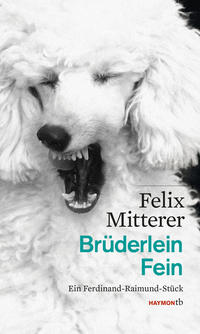 Vorderes Coverbild Brüderlein Fein