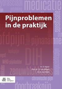 Vorderes Coverbild Pijnproblemen in de praktijk