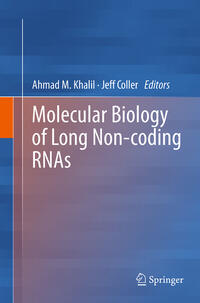 Vorderes Coverbild Molecular Biology of Long Non-coding RNAs