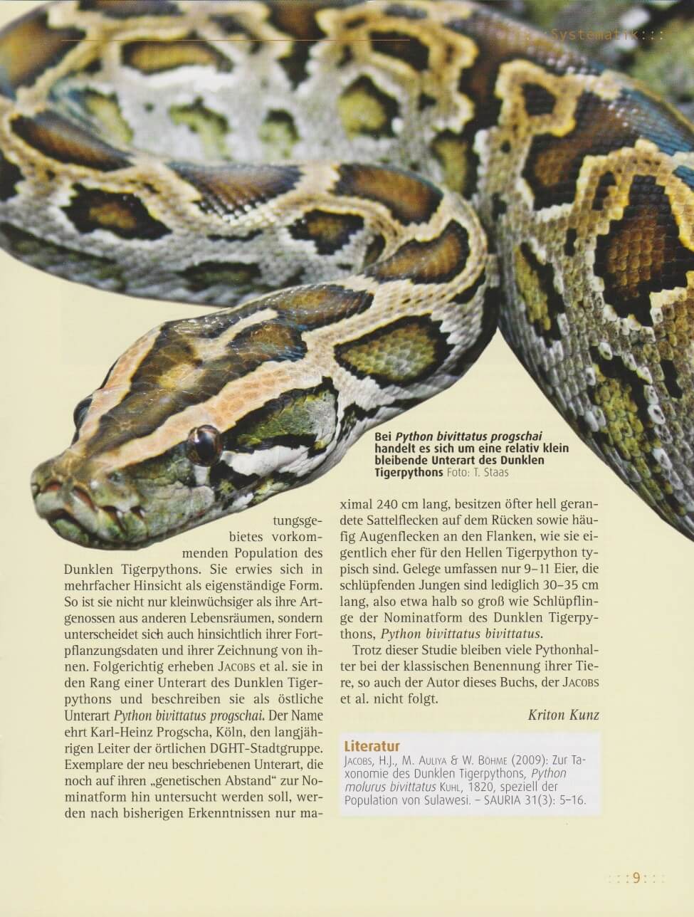 Beispielinhalt (Bild) Tigerpythons