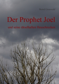 Vorderes Coverbild Der Prophet Joel