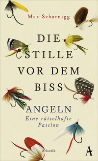 Vorderes Coverbild Die Stille vor dem Biss