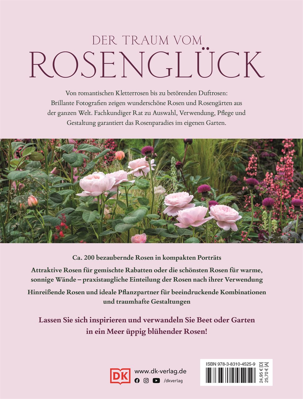 Rückseitencover Rosen