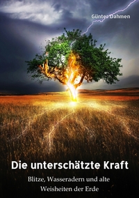 Vorderes Coverbild Die unterschätzte Kraft