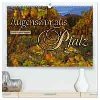 Vorderes Coverbild Augenschmaus Pfalz (hochwertiger Premium Wandkalender 2026 DIN A2 quer), Kunstdruck in Hochglanz